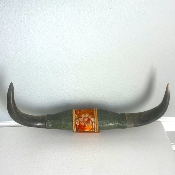 Mounted Steer Horns - Picture 1 of 7